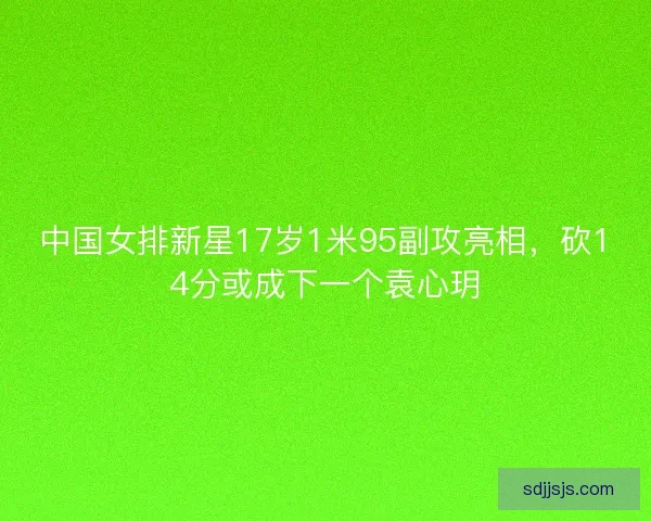 中国女排新星17岁1米95副攻亮相，砍14分或成下一个袁心玥